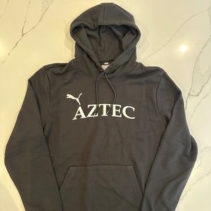 Puma Team Goal Hoodie